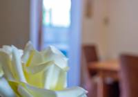 Sale - Villa - Gran Alacant - Monte y Mar