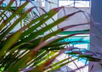 Sale - Villa - Gran Alacant - Monte y Mar