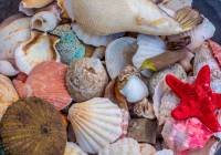 Sale - Villa - Gran Alacant - Monte y Mar