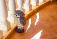 Sale - Villa - Gran Alacant - Monte y Mar