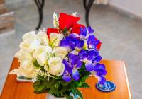 Sale - Villa - Gran Alacant - Monte y Mar