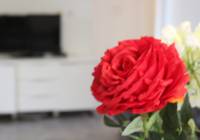 Sale - Villa - Gran Alacant - Monte y Mar