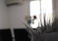 Sale - Villa - Gran Alacant - Monte y Mar