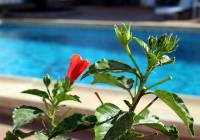 Sale - Villa - Gran Alacant - Monte y Mar