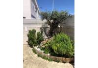 Sale - Villa - Gran Alacant - Monte y Mar