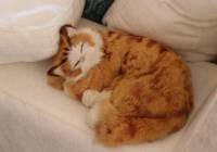 Sale - Villa - Gran Alacant - Monte y Mar