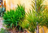 Sale - Villa - Gran Alacant - Monte y Mar