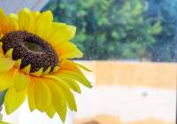 Sale - Villa - Gran Alacant - Monte y Mar