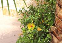 Sale - Villa - Gran Alacant - Monte y Mar