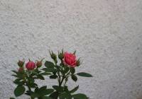 Sale - Villa - Gran Alacant - Monte y Mar