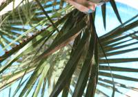 Sale - Villa - Gran Alacant - Monte y Mar