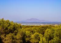 Sale - Villa - Gran Alacant - Montefaro