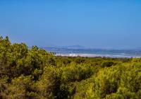 Sale - Villa - Gran Alacant - Montefaro