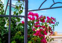 Sale - Villa - Gran Alacant - Puerto Marino