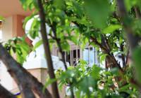 Sale - Villa - Gran Alacant - Puerto Marino