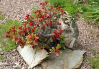 Sale - Villa - Gran Alacant - Puerto Marino