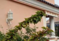 Sale - Villa - Gran Alacant - Puerto Marino