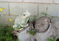 Sale - Villa - Gran Alacant - Puerto Marino