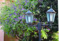 Sale - Villa - Gran Alacant - Puerto Marino