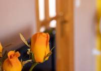 Sale - Villa - Gran Alacant - Puerto Marino