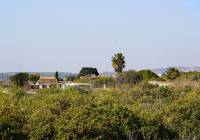 Sale - Villa - Guardamar del Segura - El Raso