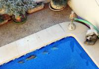 Sale - Villa - Guardamar del Segura - El Raso