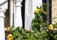 Sale - Villa - Monforte del Cid - Montecid