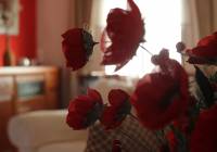 Sale - Villa - Monforte del Cid - Montecid