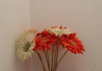 Sale - Villa - Monforte del Cid - Montecid