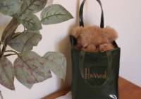 Sale - Villa - Monforte del Cid - Montecid