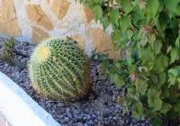 Sale - Villa - Monforte del Cid - Montecid