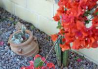 Sale - Villa - Monforte del Cid - Montecid