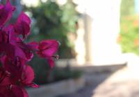 Sale - Villa - Monforte del Cid - Montecid