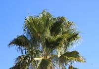 Sale - Villa - Monforte del Cid - Montecid