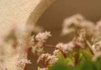 Sale - Villa - Monforte del Cid - Montecid