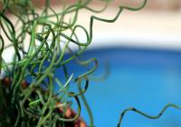 Sale - Villa - Monforte del Cid - Montecid