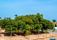 Sale - Villa - Monforte del Cid - Montecid