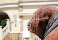 Sale - Villa - Monforte del Cid - Montecid