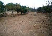 Sale - Villa - San Vicente del Raspeig - Partida Boqueres