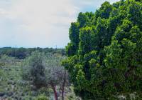 Venta - Adosado - Gran Alacant - Altomar I