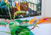 Venta - Adosado - Gran Alacant - Don Pueblo