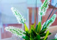 Venta - Adosado - Gran Alacant - Don Pueblo