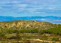 Venta - Adosado - Gran Alacant - Monte y Mar