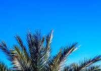 Venta - Adosado - Monforte del Cid - Montecid