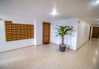 Venta - Apartamento - Alicante - Urbanova