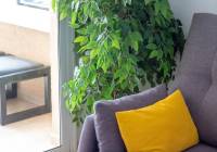Venta - Apartamento - Alicante - Urbanova
