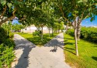 Venta - Apartamento - Alicante - Urbanova
