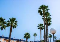 Venta - Apartamento - Gran Alacant - Mediterráneo