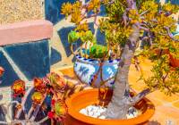 Venta - Apartamento - Gran Alacant - Monte y Mar