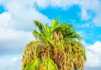 Venta - Apartamento - Gran Alacant - Monte y Mar